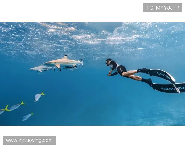 蓝色大海的传说：人鱼的3次转世，他救了她1000次，为何总是错过